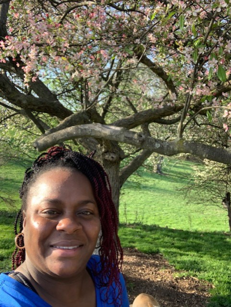 This image has an empty alt attribute; its file name is image-10.png